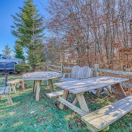 Pinnacle Beech Mountain Oda fotoğraf